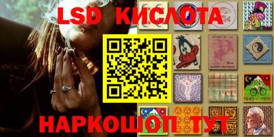 PSILOCYBIN Нальчик